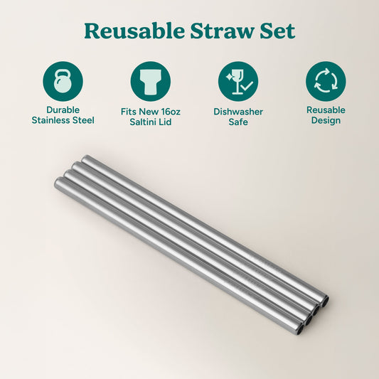 saltini-straw-set-h5 4PK_SaltiniStraws_SS-2.jpg
