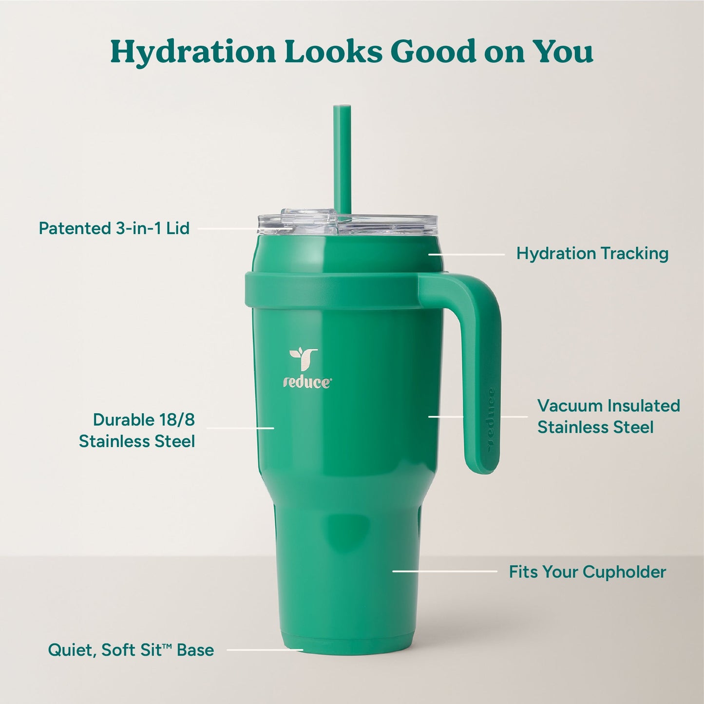 cold1-40-oz-k2 Cold1_40oz_PalmLeaf_Infographic_2.jpg