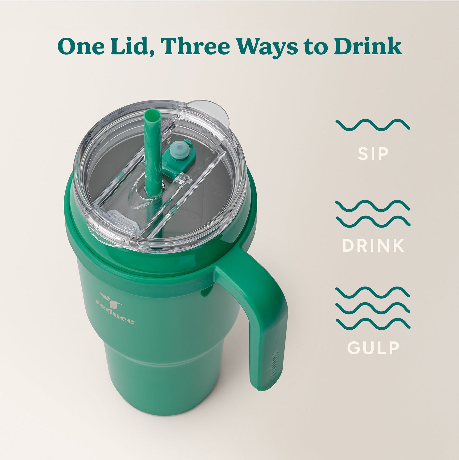 cold1-40-oz-k2 Cold1_40oz_PalmLeaf_Infographic_3.jpg