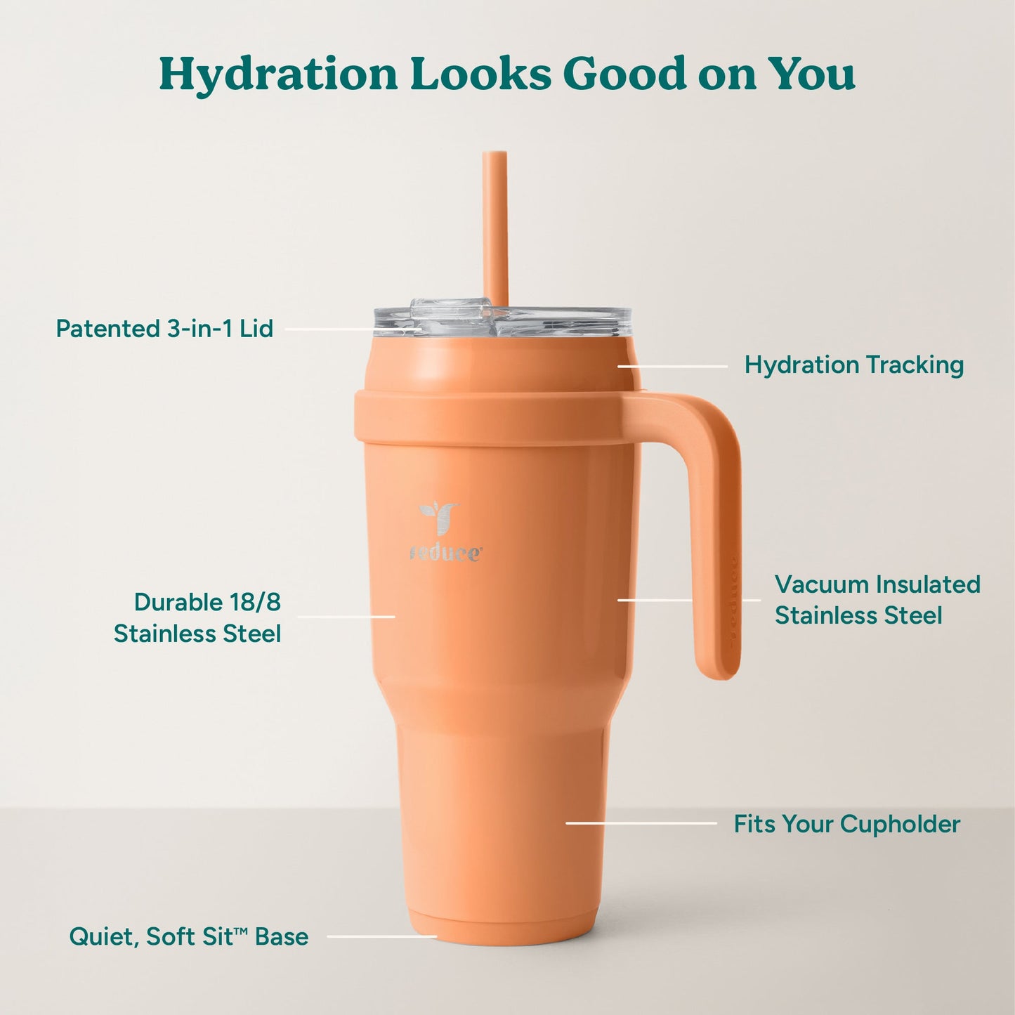 cold1-40-oz-k2 Cold1_40oz_Papaya_Infographic_2.jpg