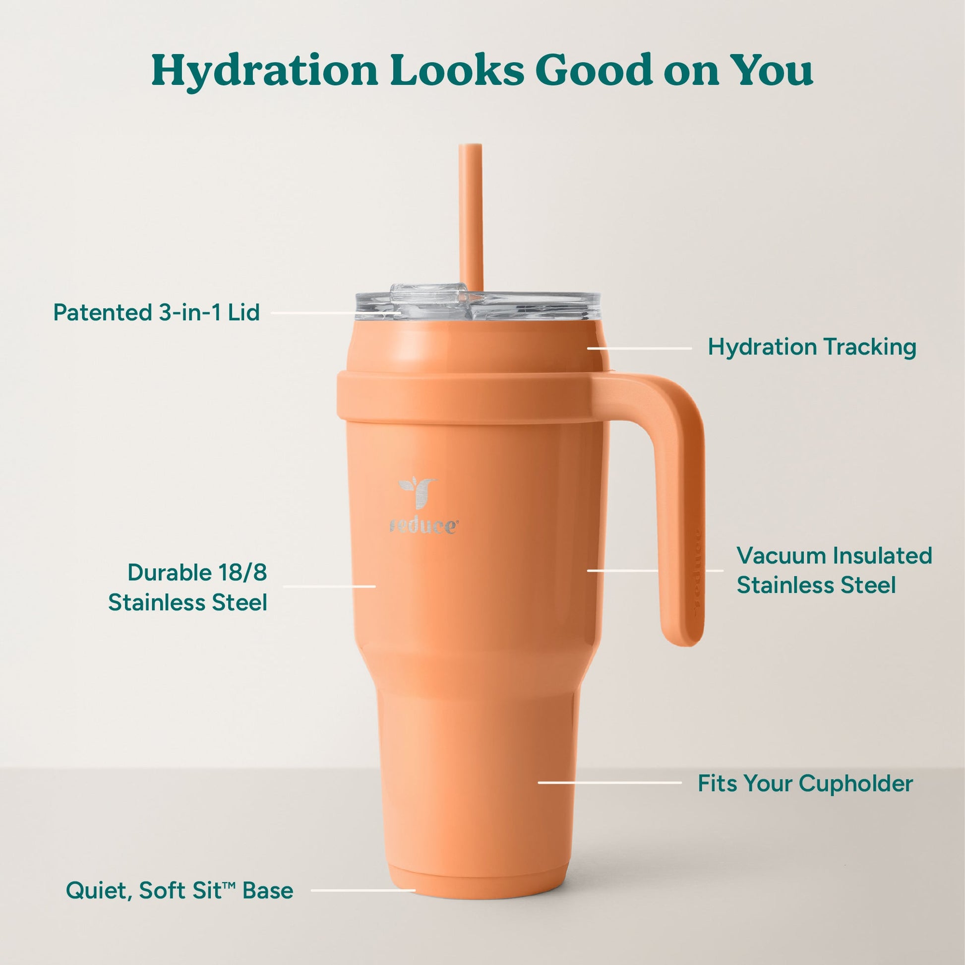 cold1-40-oz-k2 Cold1_40oz_Papaya_Infographic_2.jpg